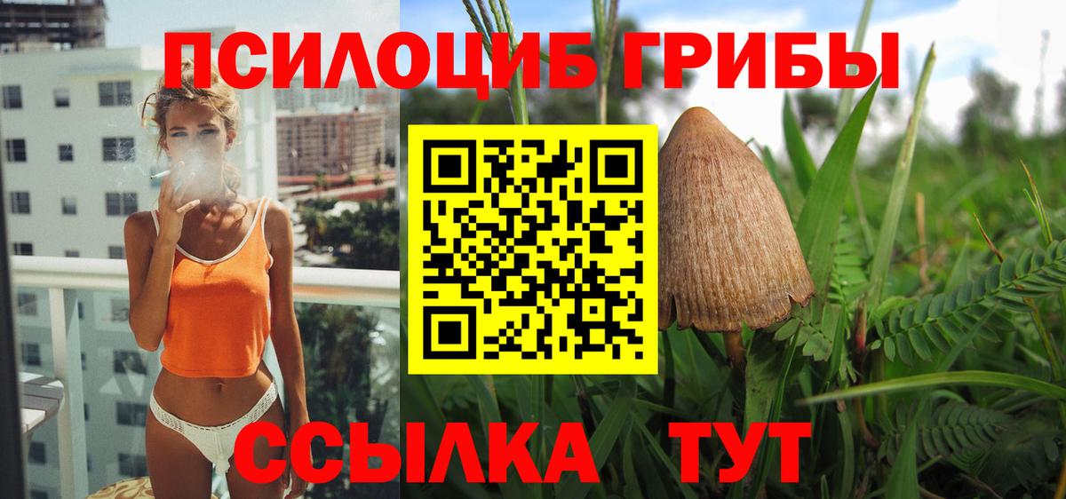 даркнет сайт  Вход с VPN  Галлюциногенные грибы прущие грибы  Муром  Псилоцибиновые грибы MAGIC MUSHROOMS 